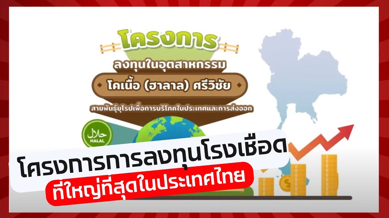 โครงการลงทุนอุตสาหรกรรมโคเนื้อฮาลาล by DZ Consultants