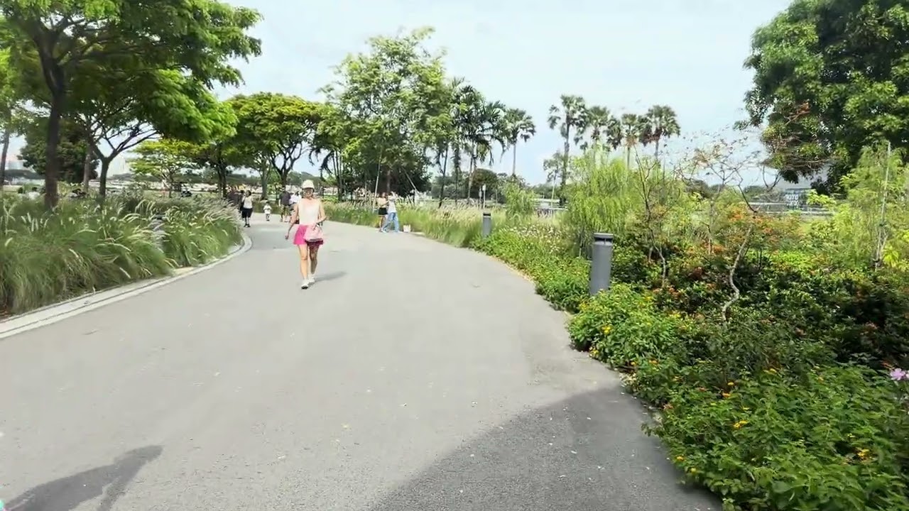 Singapore Garden by the bay natural views #singapore #garden #marina 