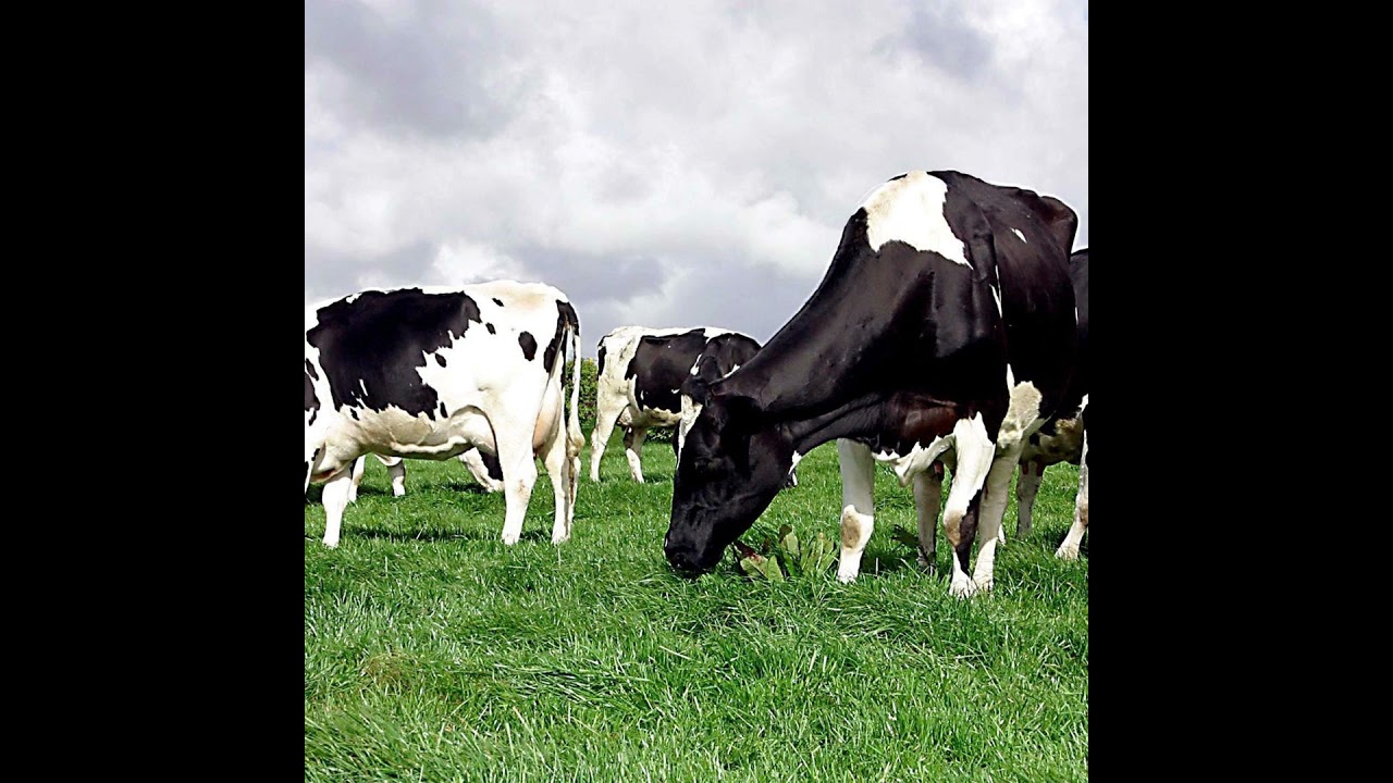 Examining Farm Incomes