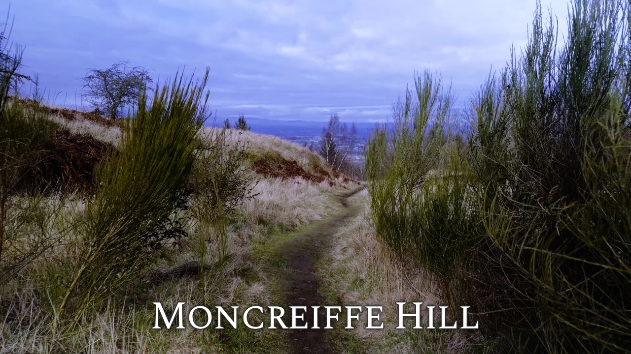 Calming Walk in Perthshire Hills and Woods to De-Stress | 4K Binaural Audio