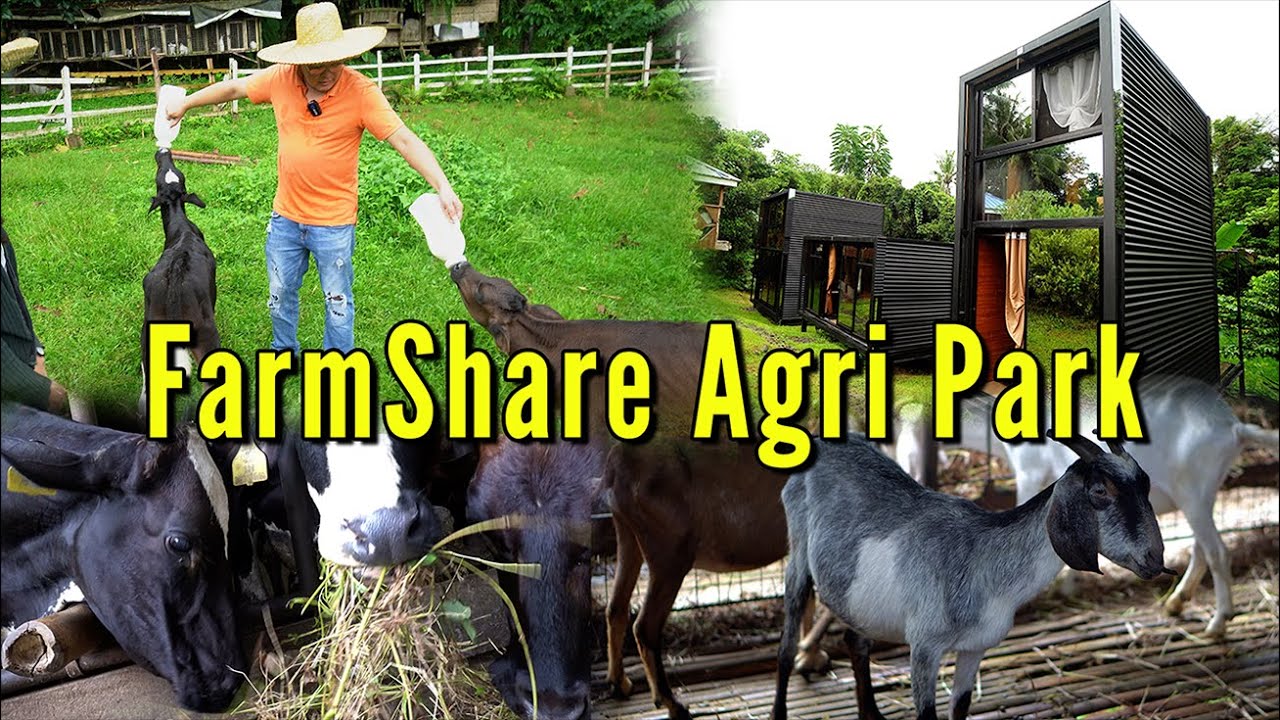 Dairy Milk Farm - FarmShare Agri Park