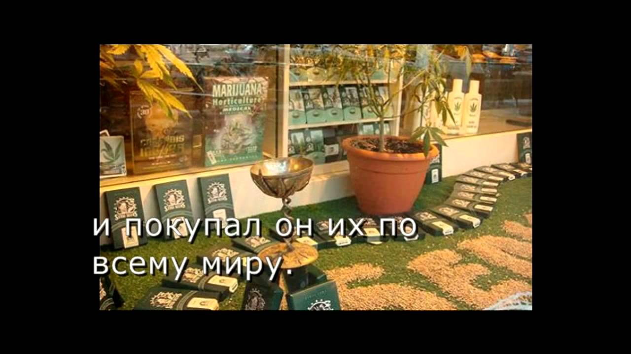 Музей Конопли в Амстердаме