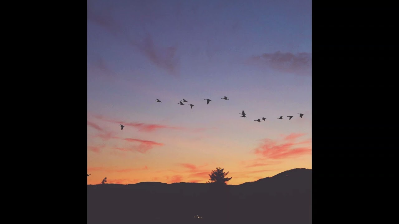 Lizzy McAlpine - A Little Bit of Everything (feat. Grayson Lenner)