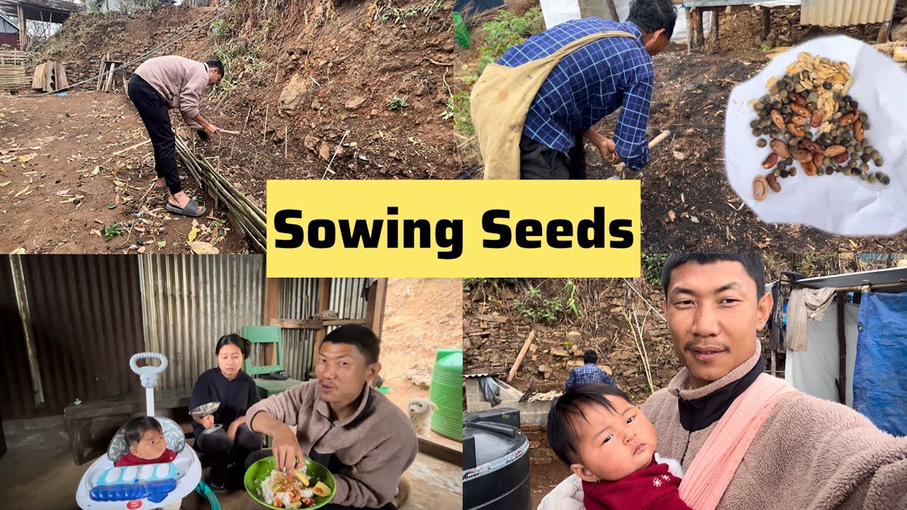 Sowing Seeds In Our Mini Garden || My Father Helping Me // Our Last Vlog// 🥹 @ZarenAndBidVlogs 