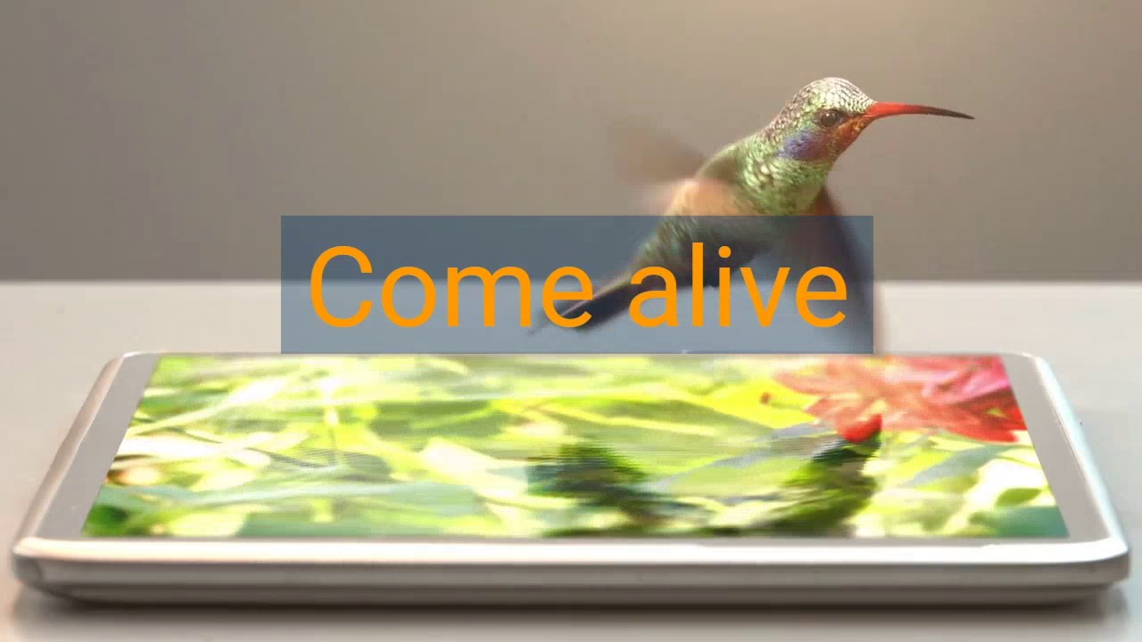 RCI Job Videos