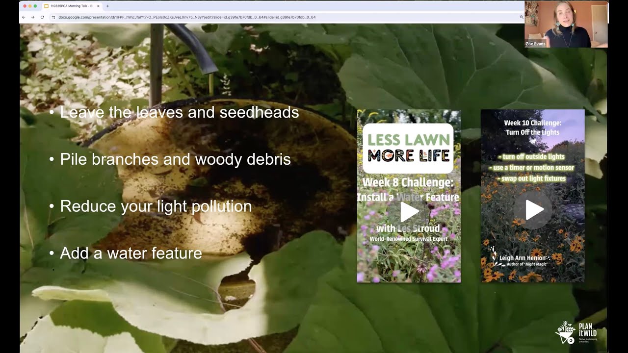How Healthy Is Your Yard? Simple Actions to Bring It to Life