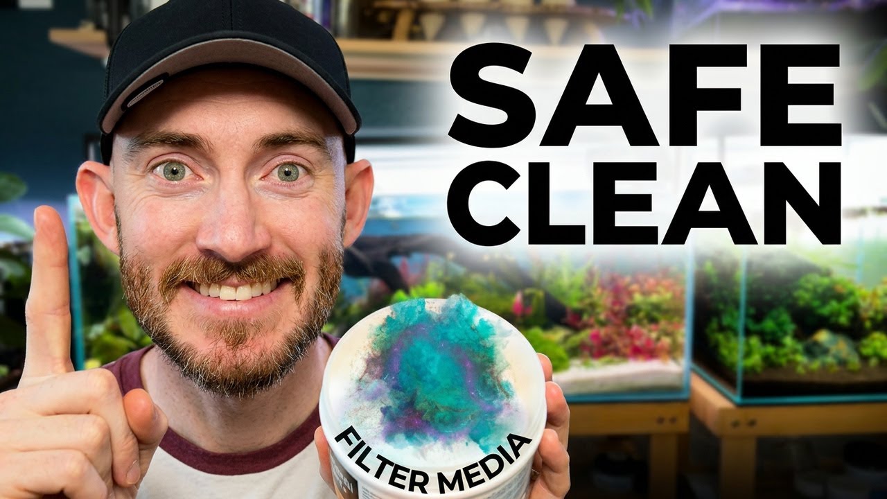 Aquarium Monthly DEEP-CLEAN (Filter, Trims, Reset) Without Crashing Your Cycle!