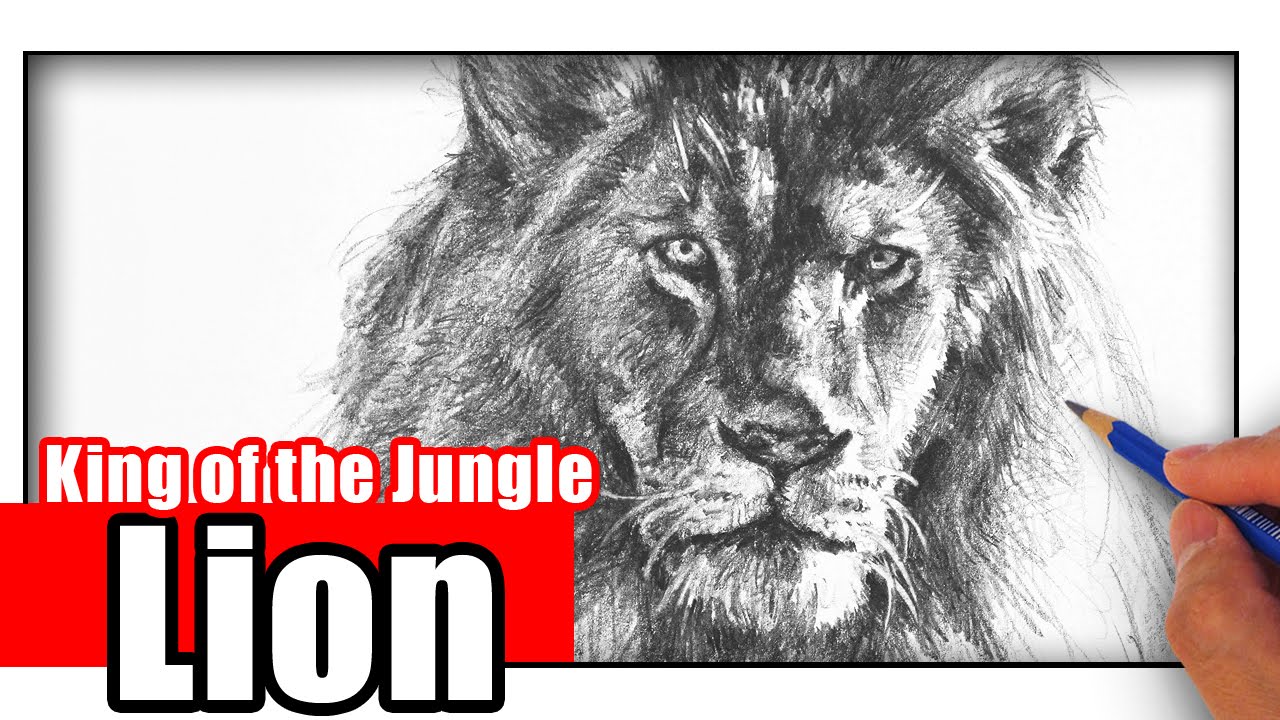 How to Draw a Lion with Pencil