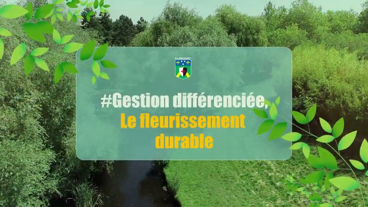 #GestionDifférenciée : le fleurissement durable