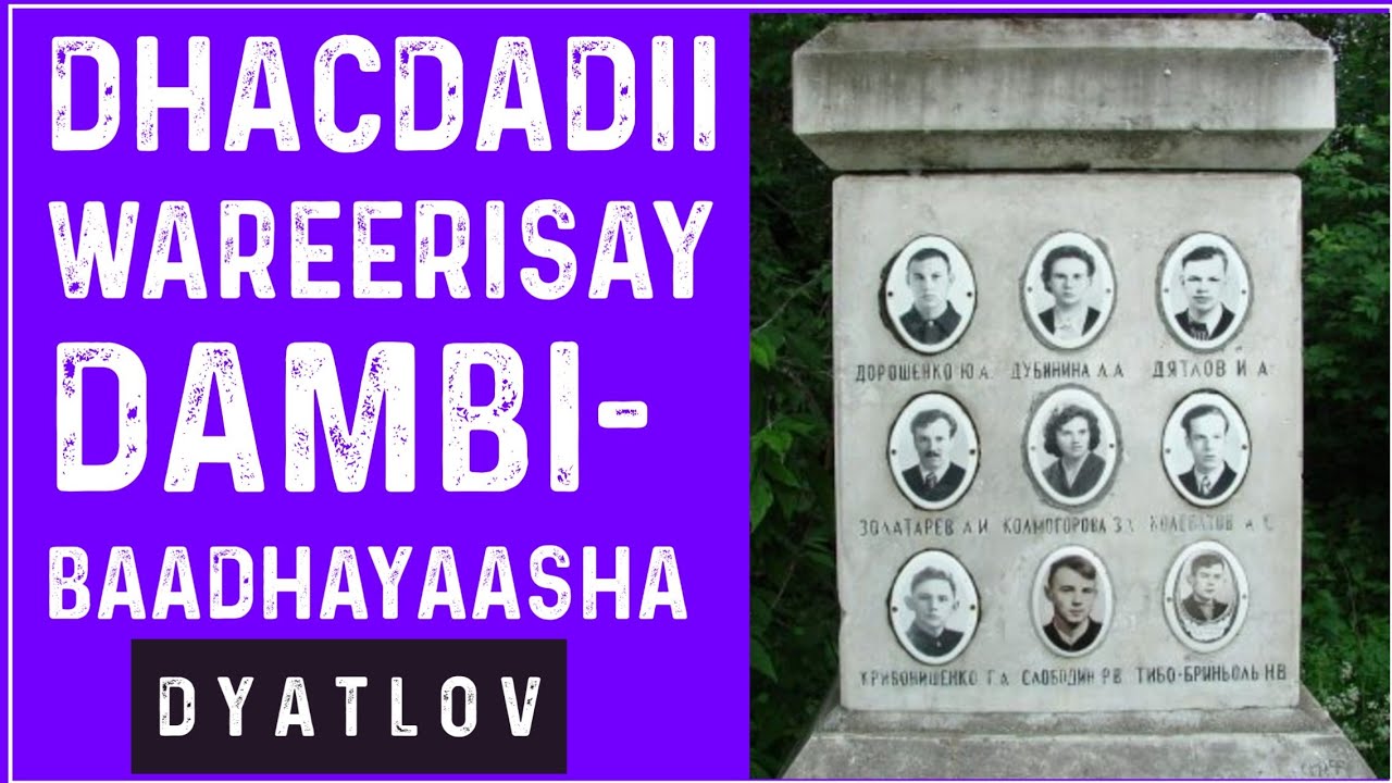 Dhacdadii wareerisay Dambi baadhayaasha|D y a t l o v