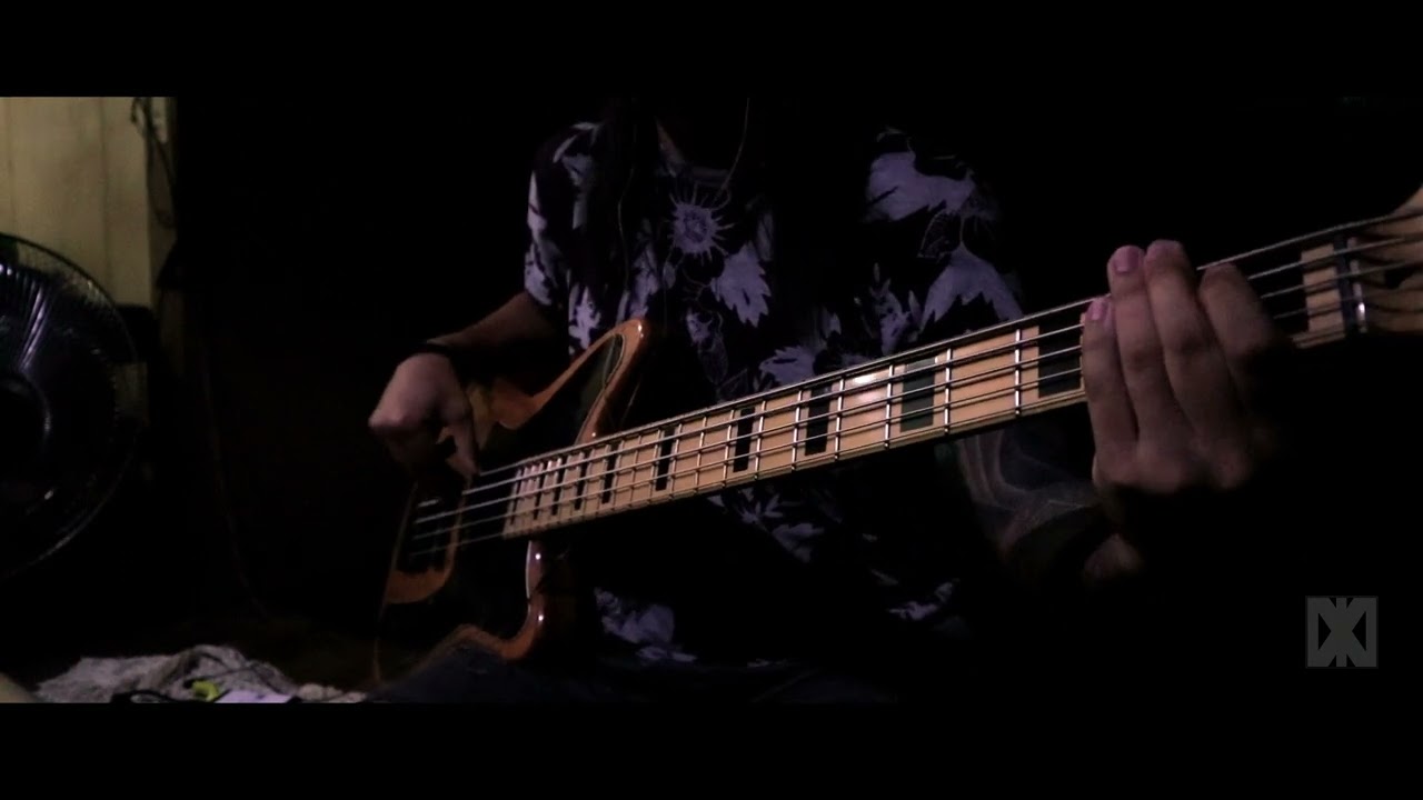On Ne S'aimera Plus Jamais - Larusso (BASS COVER)