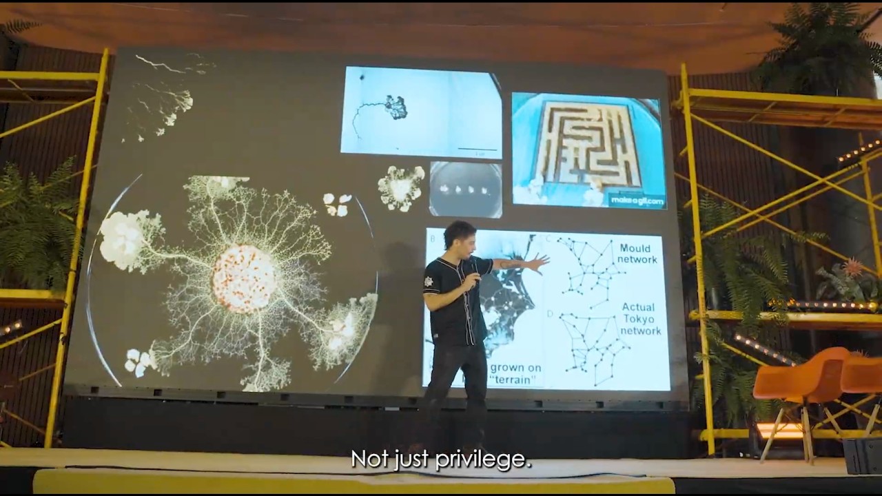 What Design Can Do México GNP 2025