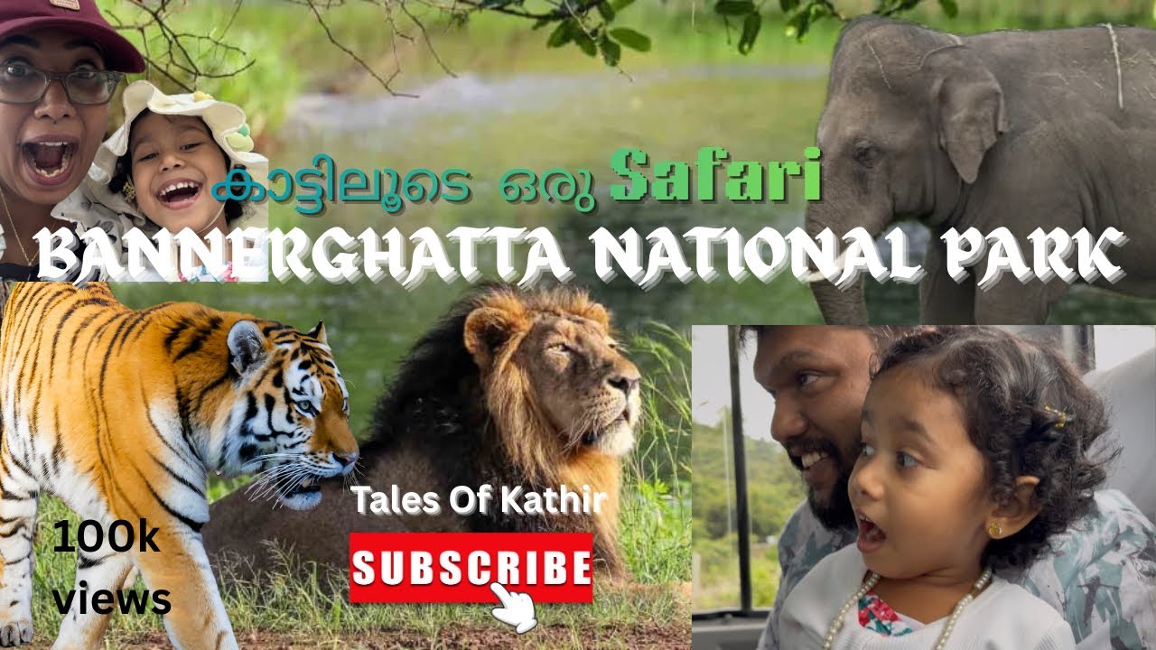 കാട്ടിലൂടെ ഒരു  സഫാരി 😮👌| Bannerghatta National Park | Banglore | #youtubefeed #shortsfeed #travel 