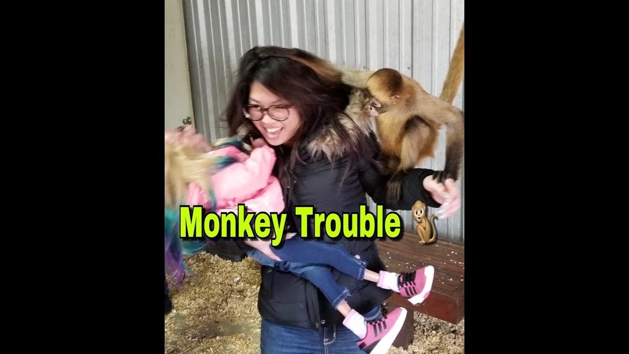 Franklin Zoo Vlog