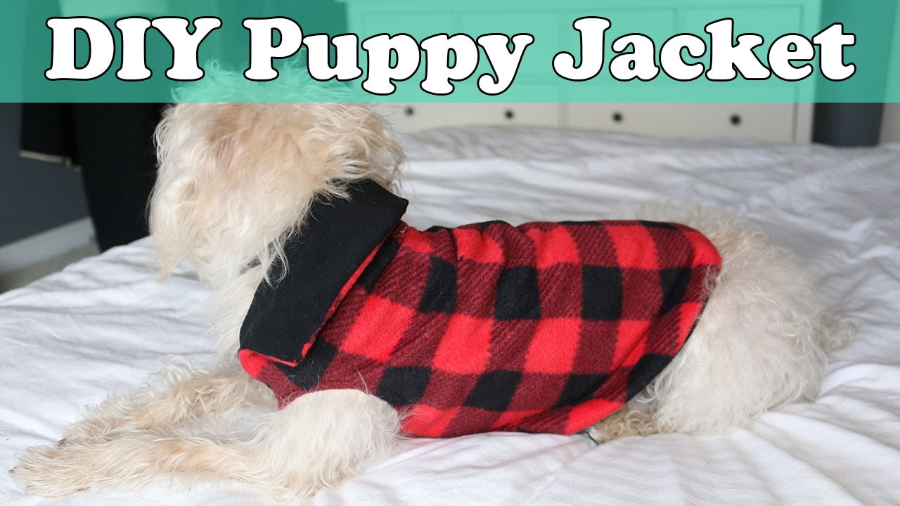 Quick and Easy DIY Puppy Jacket / Coat