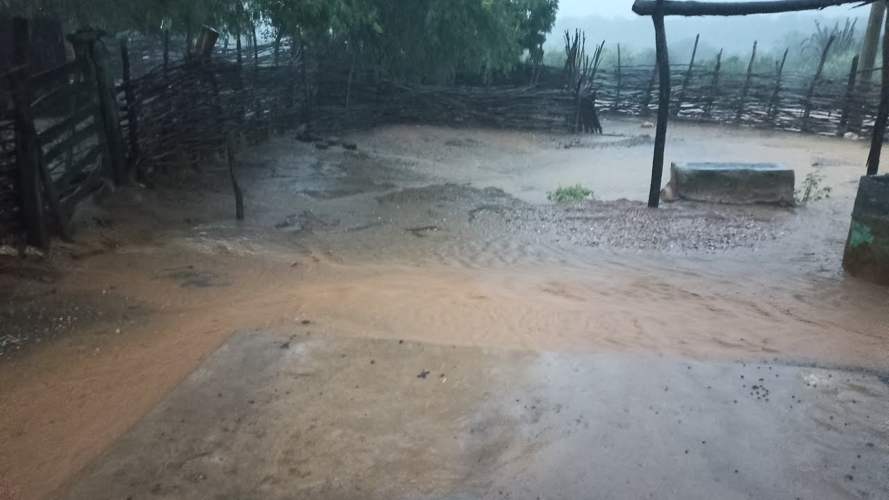 Final de tarde com muita chuva 🌧️ S&iacute;tio Mamoeiro Verdejante PE 