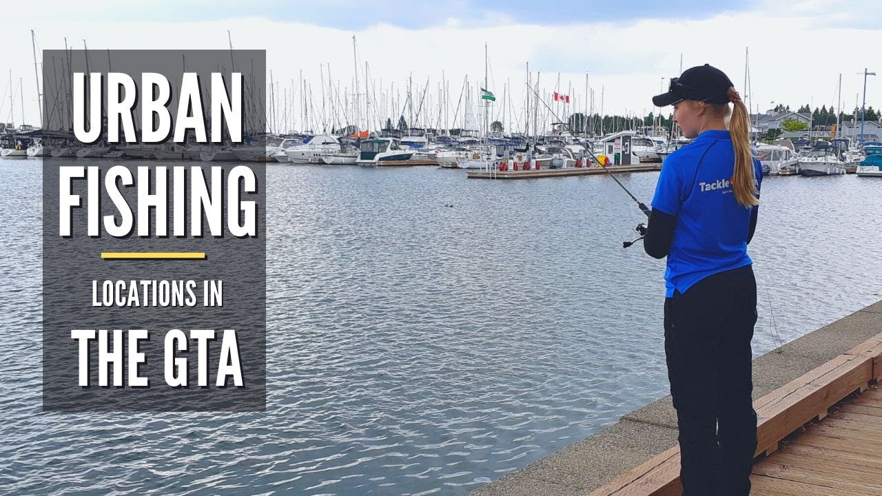 Lakefront Promenade Part 2, Mississauga | Urban Fishing Locations in the GTA