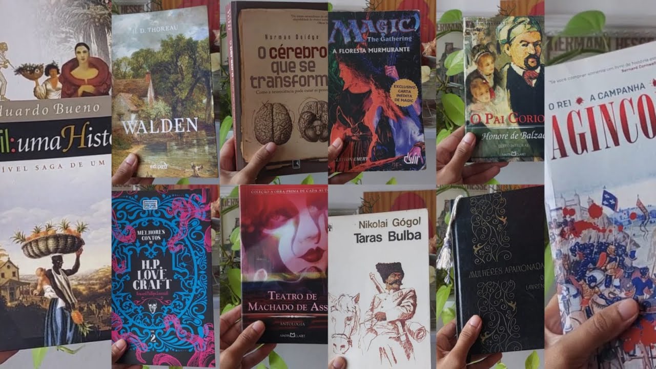 Lidos em 2025 📚