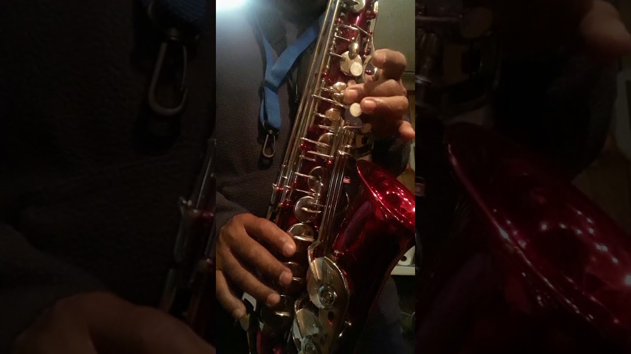 Tutorial los sabanales sax alto