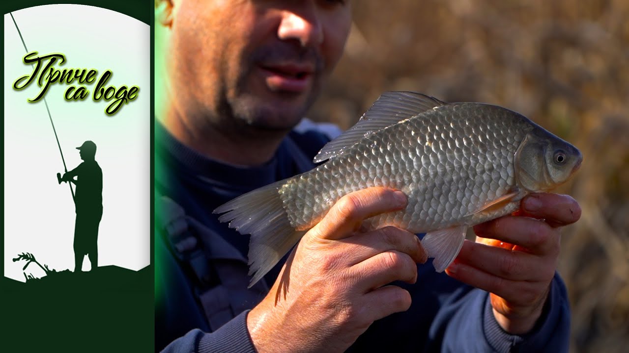 Priče sa vode ep. 242 21.05.2024. Proleće na kanalu DTD