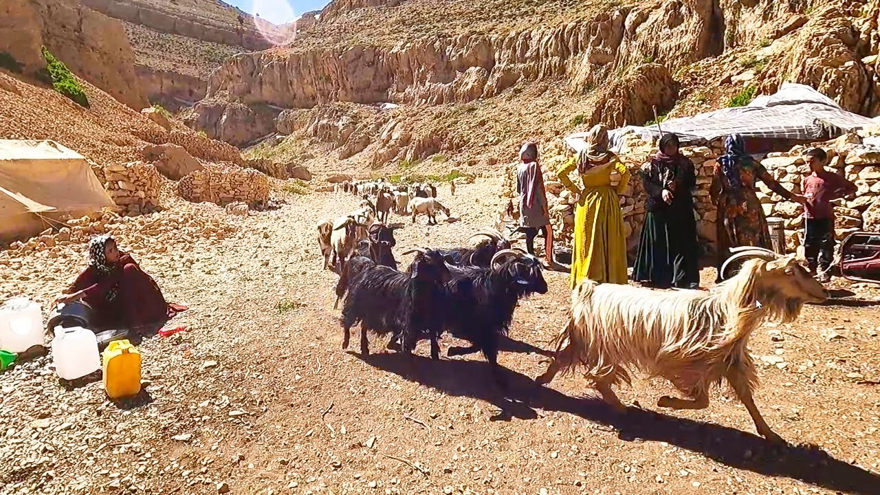 nomadic lifestyle of Iran