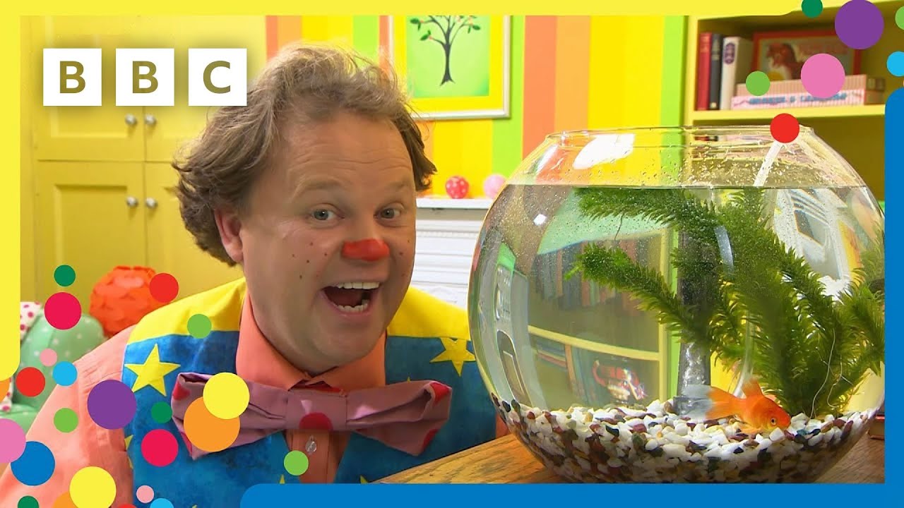 Mr Tumble's Pet Goldfish | Mr Tumble and Friends