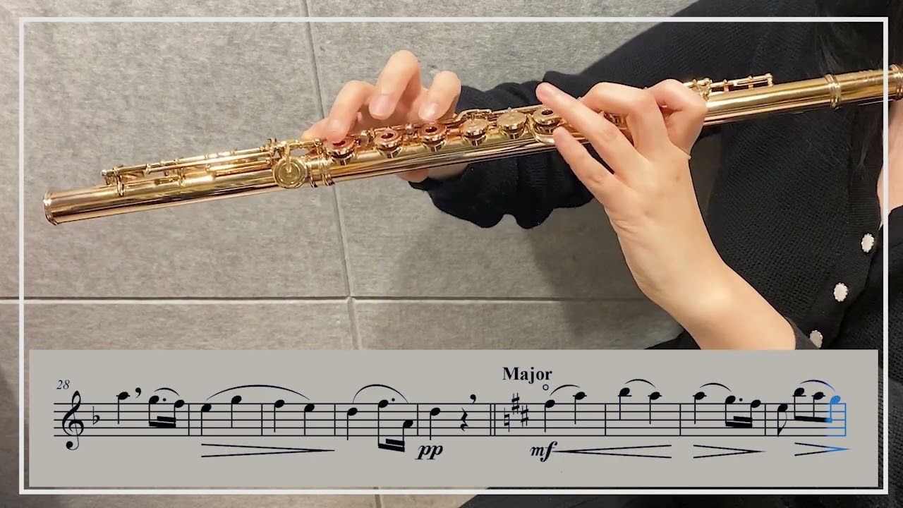 가리볼디 플루트 에튀드 Op. 131 6번 D Minor