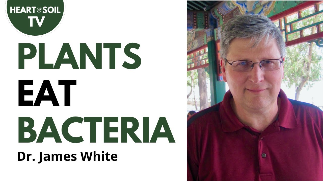 Rhizophagy Soil Science | Professor James White Jr. #soilscience #soilhealth