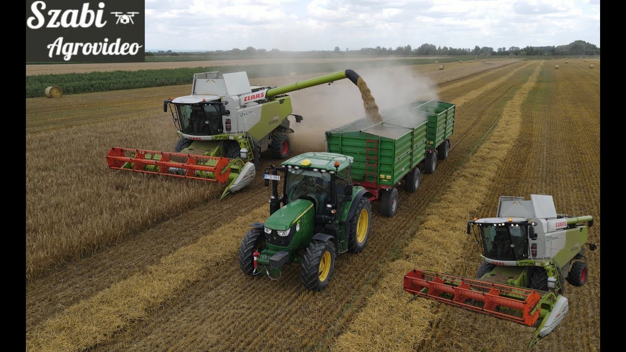 Árpa Aratás 2023 | Barley Harvest  | 2x Claas Lexion 650