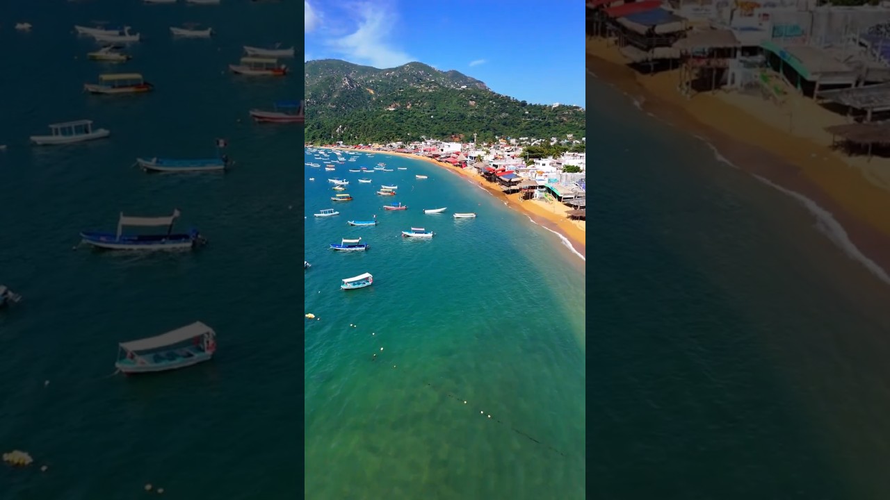 &iquest;Qu&eacute; Realmente Sucede con el Marina Bus que Nadie te Dice?