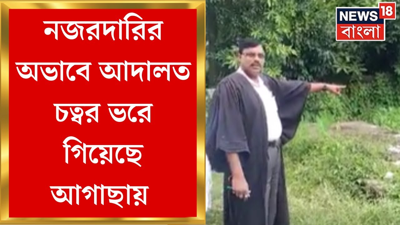 Kakdwip : বেহাল কাকদ্বীপ আদালত চত্বর, নজরদারির অভাবে আদালত চত্বর ভরে গিয়েছে আগাছায় | Bangla News