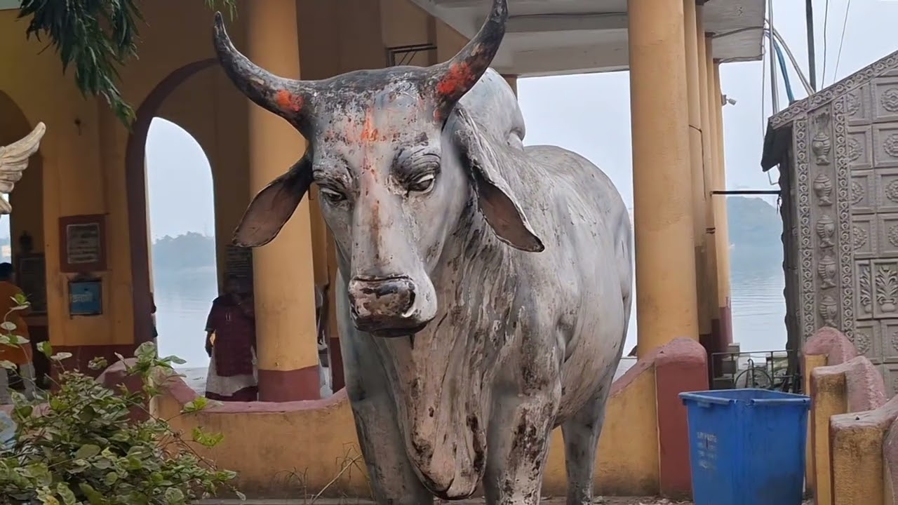 সরস্বতী পুজোর দিন শিবশক্তির যুগল দর্শন। 