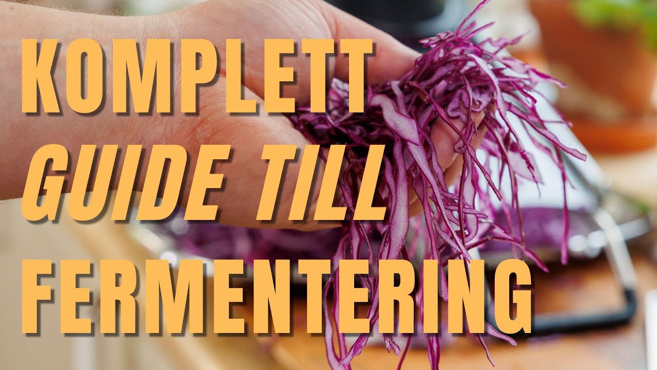 Våga Fermentera! Från Kål till Guld på 3 Veckor - Komplett guide!