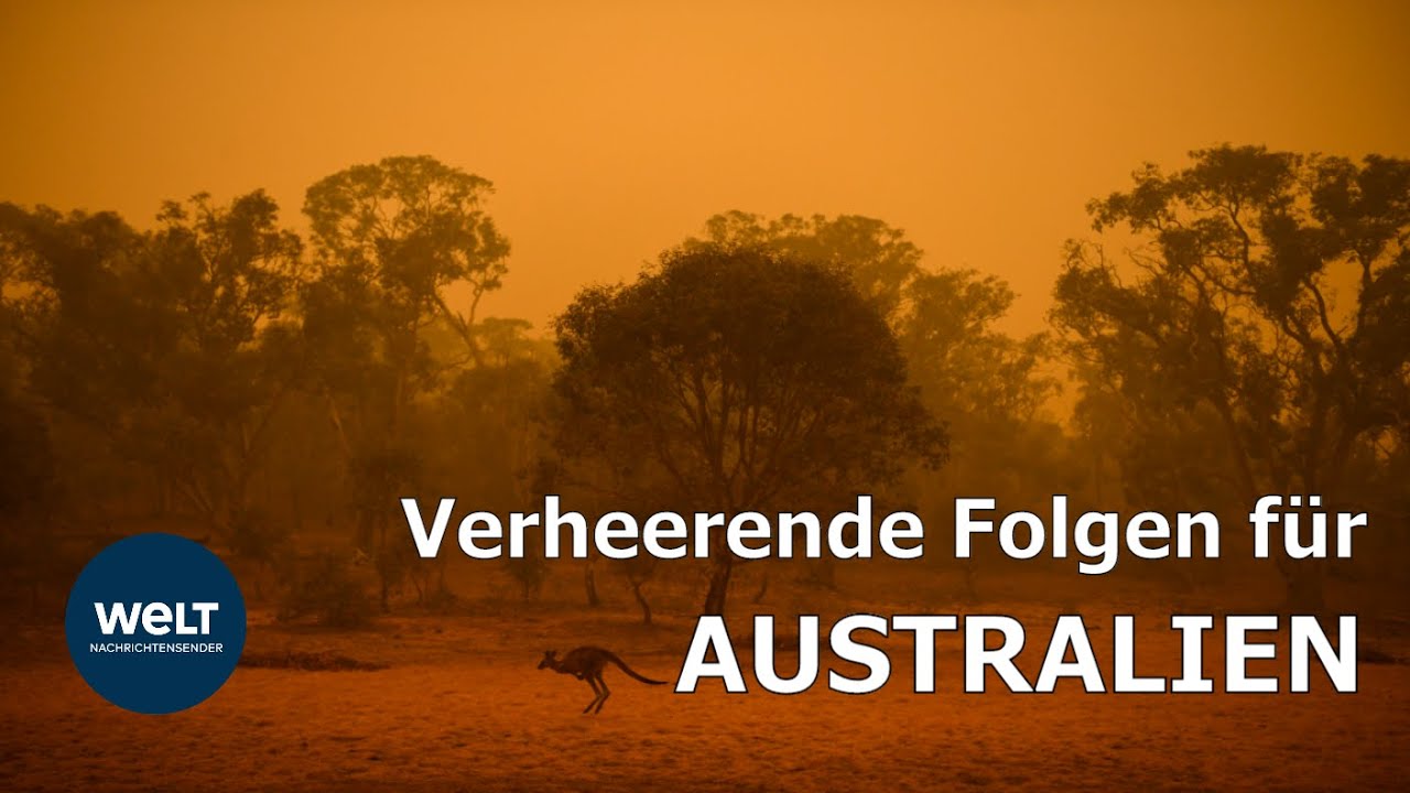 BUSCHBR&Auml;NDE: Verheerende Folgen f&uuml;r Australien