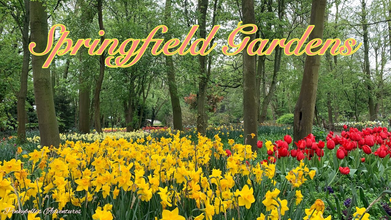 Springfield Gardens | Lincolnshire