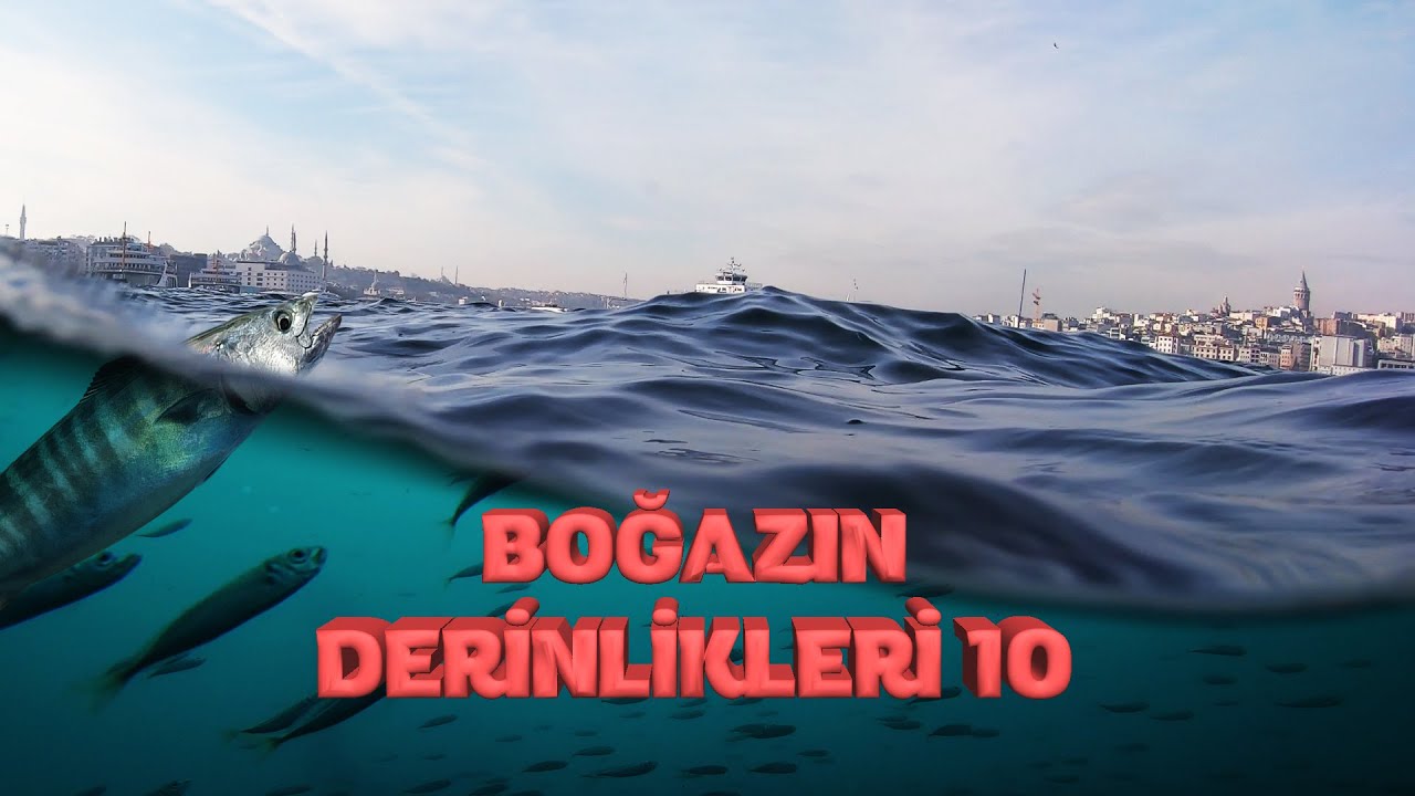 Boğazın Derinlikleri 10  |  Beykoz - Emirgan - Sarayburnu  |  Lüfer - Palamut  |  Aralık 2020
