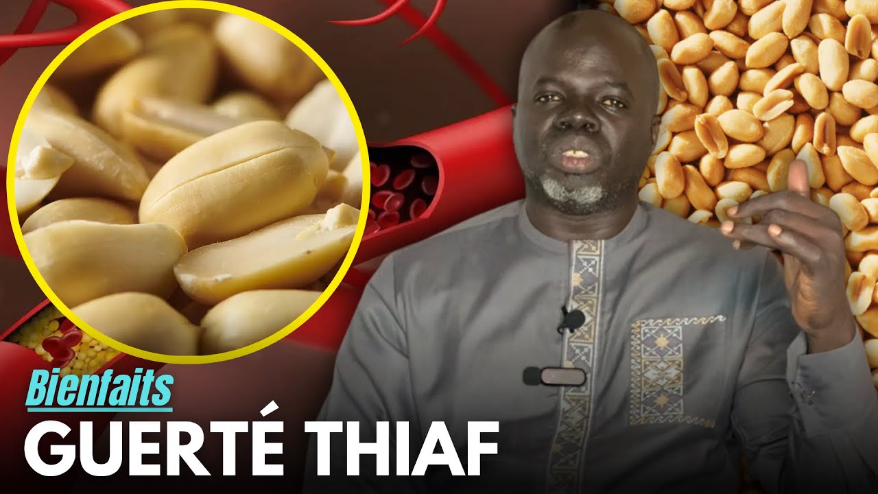 Secret yi nékk si GUERTÉ THIAF 🥜- Pr Ousmane Ndiaye - SAMA XALAA TV
