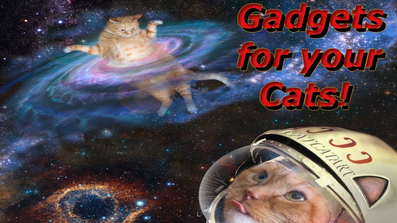 The best gadgets for your cat! / ¡Los mejores inventos para tu gato!