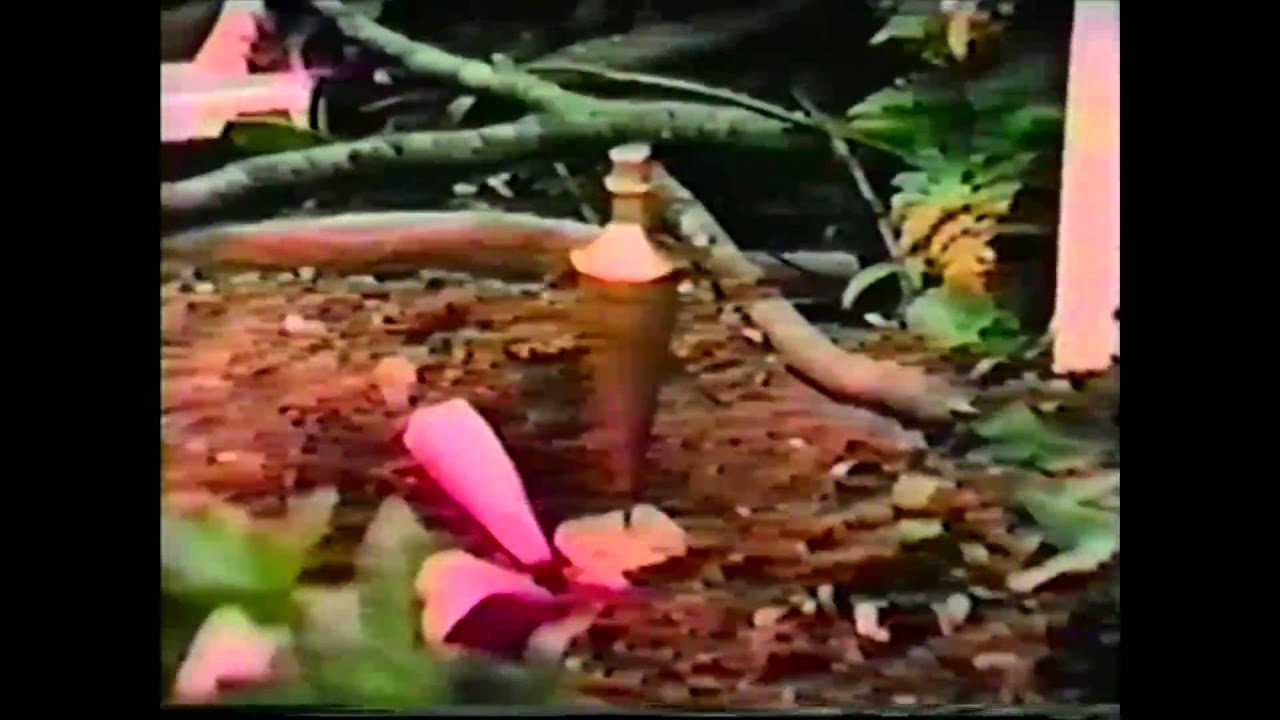 The Alaska Pipeline - Part 1