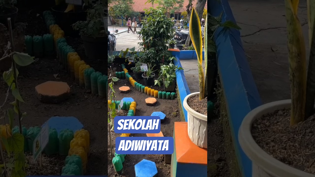 Sekolah Adiwiyata #sekolahadiwiyatamandiri #sekolah #tamansekolah #taman #tanamanobatkeluarga #fyp
