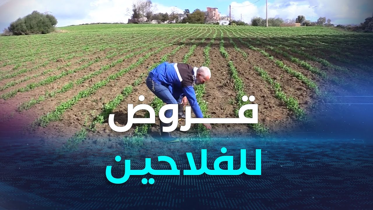 قروض مصغرة تصل إلى 150 مليون سنتيم للفلاحين الصغار لإنشاء غرف التبريد
