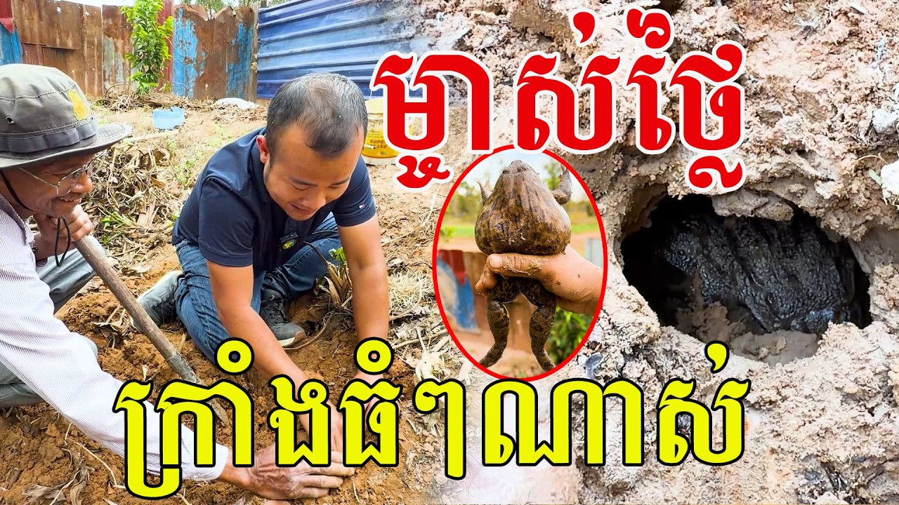 ម្ចាស់ថ្លៃ ក្រាំងធំៗណាស់ អ្នកស្រែចម្ការស្គាល់ច្បាស់