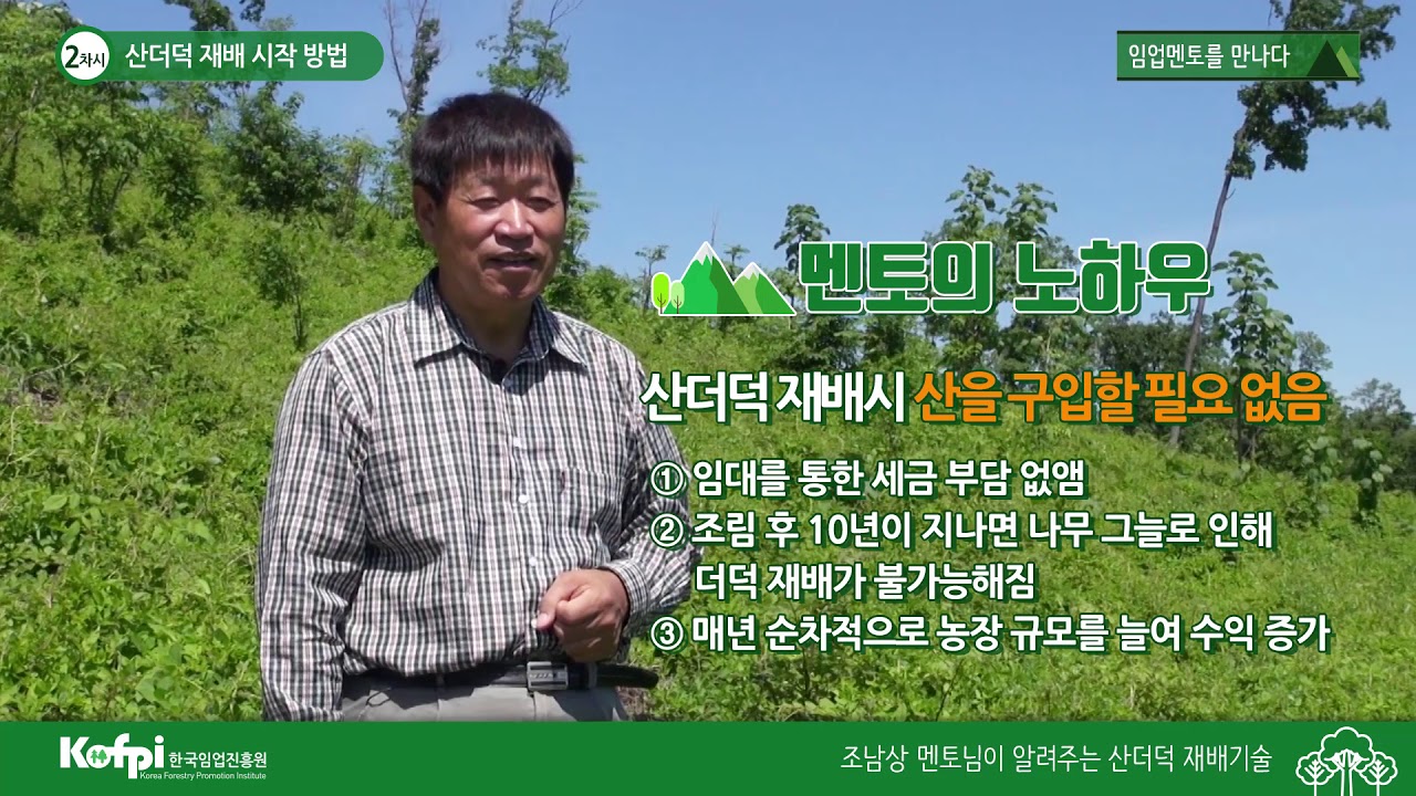 [산더덕2] 산더덕 재배 시작 방법