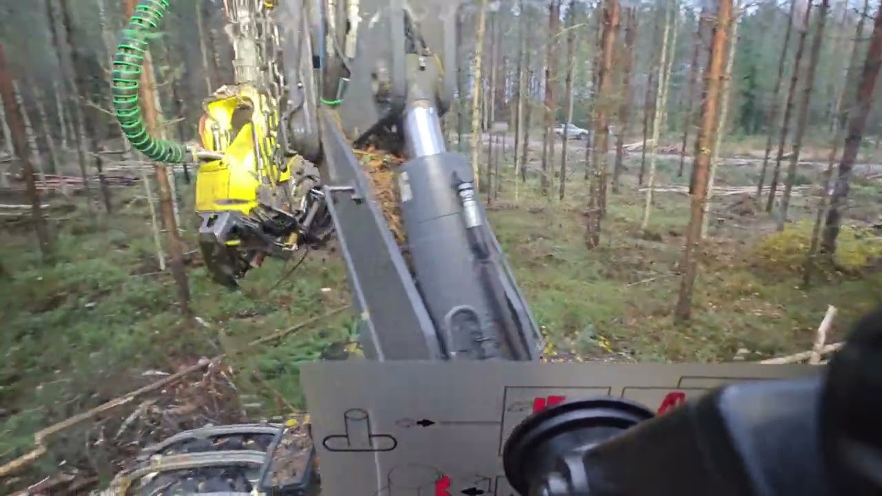 höpötystä energiapuun korjuusta ja sen hyödyntämisestä