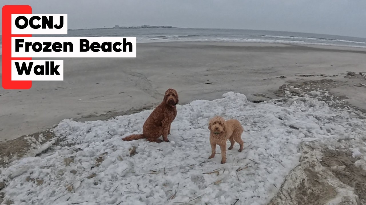 OCNJ Frozen Beach Walk