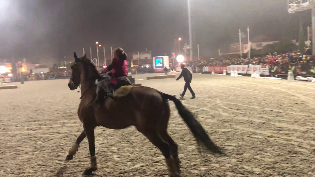 Lara Carreira Ganha as Cavalhadas na Golega 2018