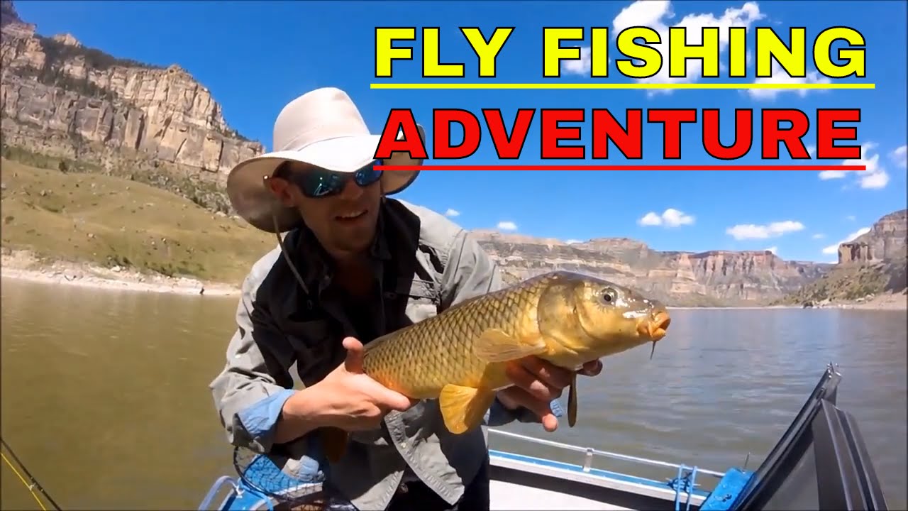 MONTANA FLY FISHING  - TROUT & CARP - Bighorn Canyon 2017
