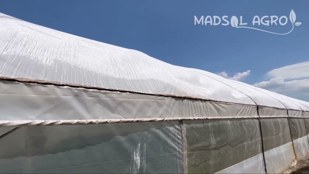 Văruirea/ umbrirea solarului cu carbonat de calciu