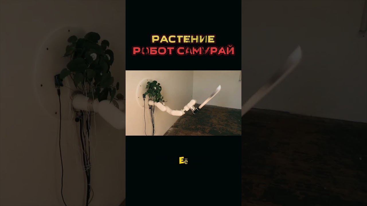 растение робот-самурай 