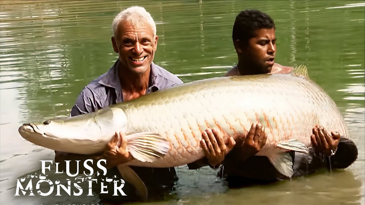 Der GRÖSSTE Arapaima, den Jeremy Wade jemals gefangen hat! | Fluss Monster